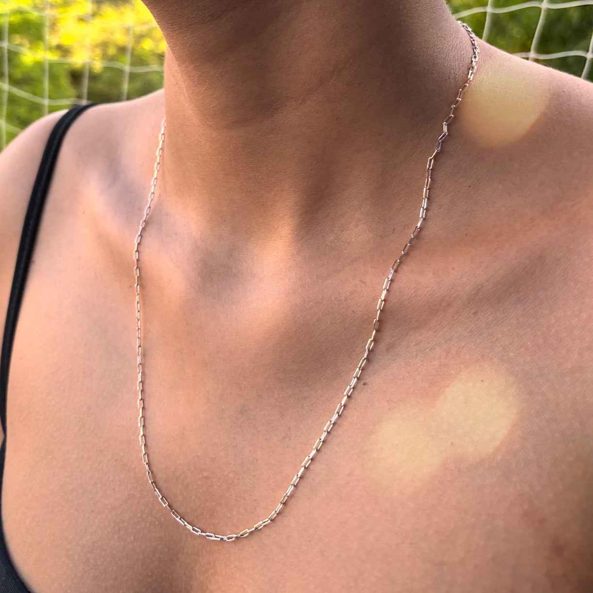 Argentum Chain