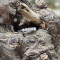 Unity Ring
