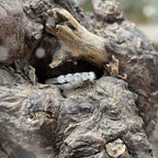 Unity Ring