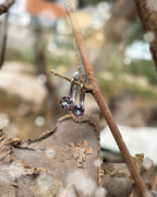 Nebula Earrings - Suramyah