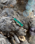 Unity Ring - Suramyah